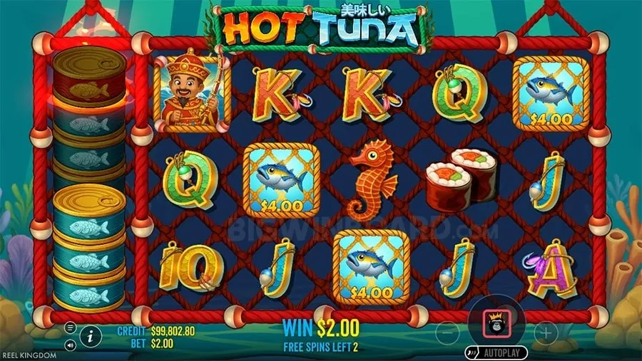 Sports Betting Analysis